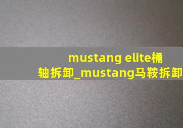 mustang elite桶轴拆卸_mustang马鞍拆卸